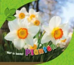 Planten | 9789463414371 Planten | 9789463414371