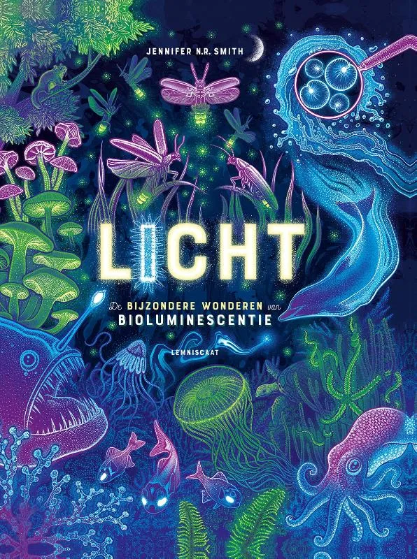Licht | 9789047715801 Licht
