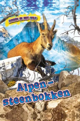 Alpen Steenbokken
