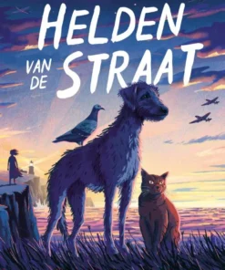 Helden van de straat