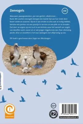 Alternative view of Zeevogels