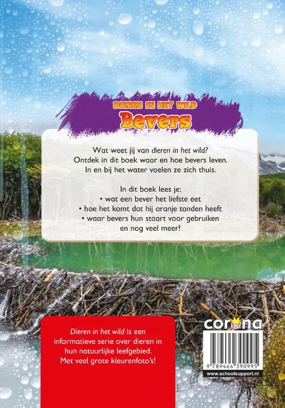 Bevers | 9789464390995 Bevers - Afbeelding 2