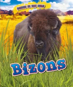 Bizons