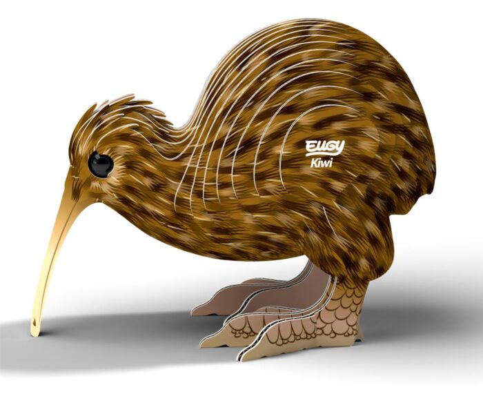 Eugy 3D model Kiwi - Afbeelding 2