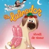 De labrador steelt de show | 9789062227310 De labrador steelt de show | 9789062227310