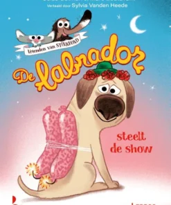 De labrador steelt de show