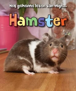 Hamster