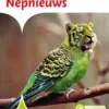 Nepnieuws | 9789463418492