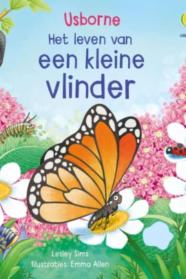 Een kleine vlinder