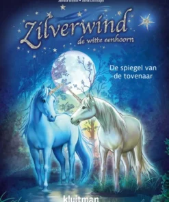 De spiegel van de tovenaar