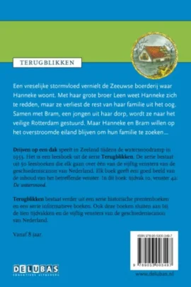 Alternative view of Drijven op een dak