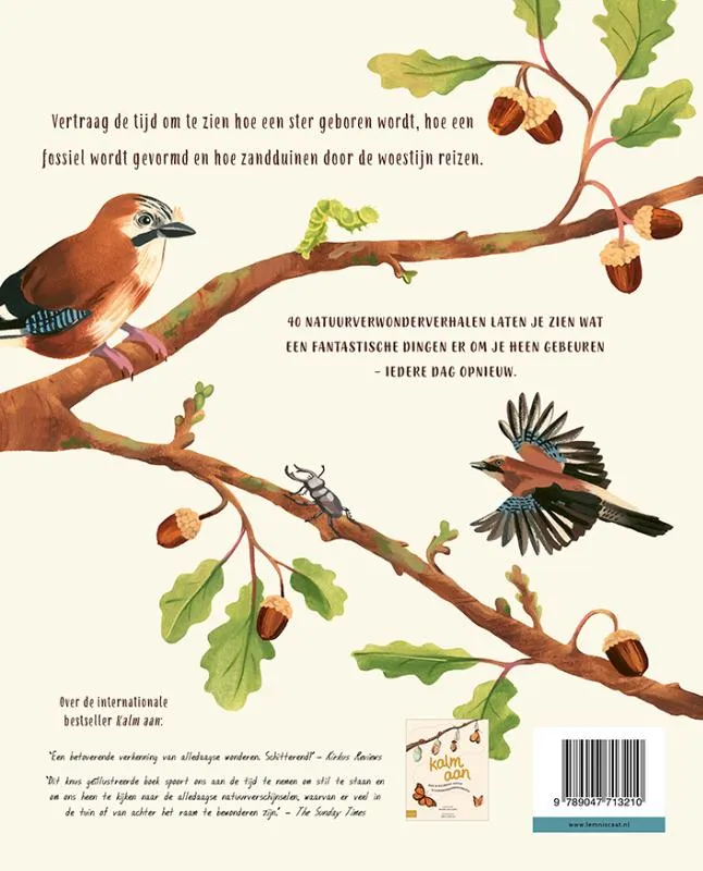 Kalm aan ... en kijk om je heen | 9789047713210 Kalm aan ... en kijk om je heen - Afbeelding 2