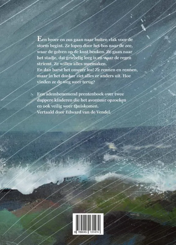 Eilandstorm (4+) | 9789045131474 Eilandstorm (4+) - Afbeelding 2