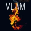 Vlam | 9789044844924