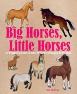 Big Horses, Little Horses | 9781941367995