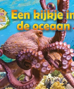 Een kijkje in de oceaan