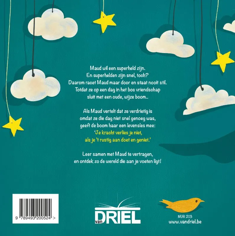 De trage superheld | 9789493200524 De trage superheld - Afbeelding 2