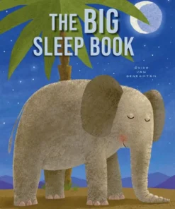 The Big Sleep Book