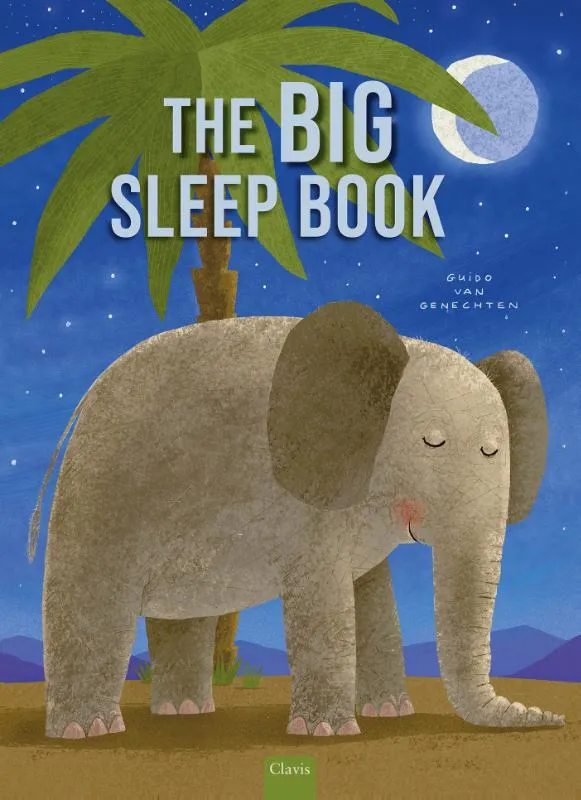 The Big Sleep Book | 9798890633521 The Big Sleep Book