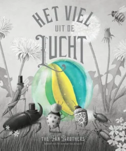 Het viel uit de lucht