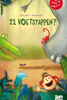 12 voetstappen?