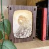 Kaartenlamp Walnut | 4042675399054