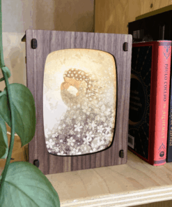 Kaartenlamp Walnut