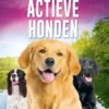 Actieve honden | 9789464390353