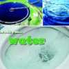 Water | 9789461755773