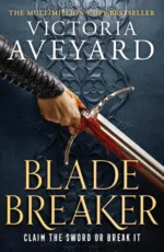 Blade Breaker | 9781409383468
