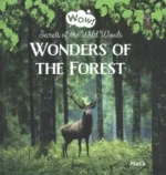 Wonders of the Forest | 9781605378558 Wonders of the Forest | 9781605378558