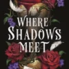 Where Shadows Meet | 9781471411526