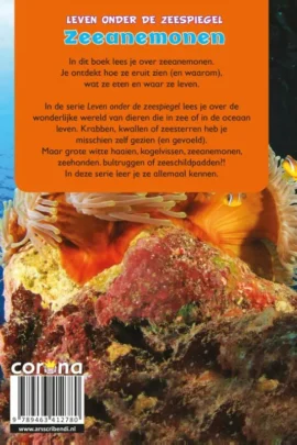 Alternative view of Zee-anemonen