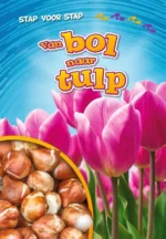 Van bol naar tulp | 9789086648924 Van bol naar tulp | 9789086648924