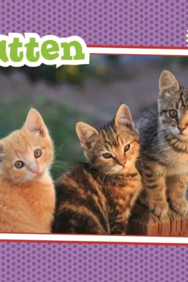 Katten