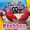 Krabben | 9789463411301 Krabben | 9789463411301