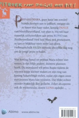 Alternative view of De ring van Koning Schavelingh