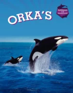 De heksen van Halloween | 9789464945676