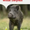 Wilde zwijnen | 9789086648504