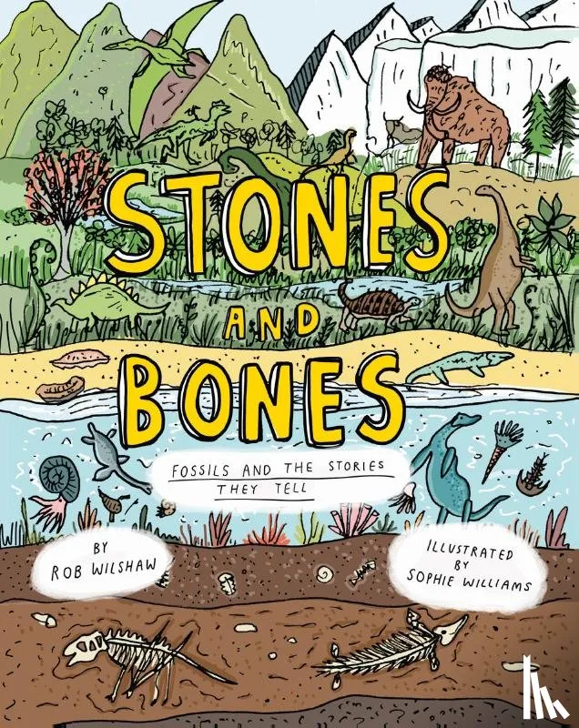 Fossils and the stories they tell | 9781800660427 Fossils and the stories they tell