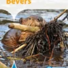Bevers | 9789086647699 Bevers | 9789086647699