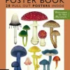 Fungarium Poster Book | 9781787418219