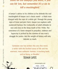 Alternative view of To Kill a Mockingbird