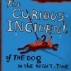 The curious incident of the dog in the night-time | 9780099450252