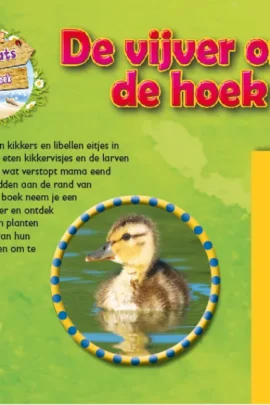 Alternative view of De vijver om de hoek