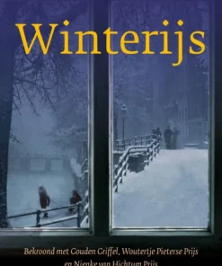 Winterijs