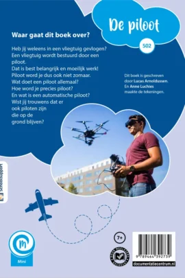 Alternative view of De piloot