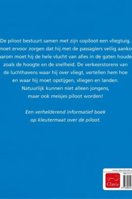 Alternative view of De piloot