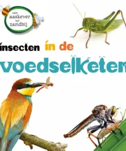 Insecten in de voedselketen