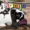 Konijn | 9789463414562 Konijn | 9789463414562